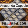 Anaconda Capsule 07